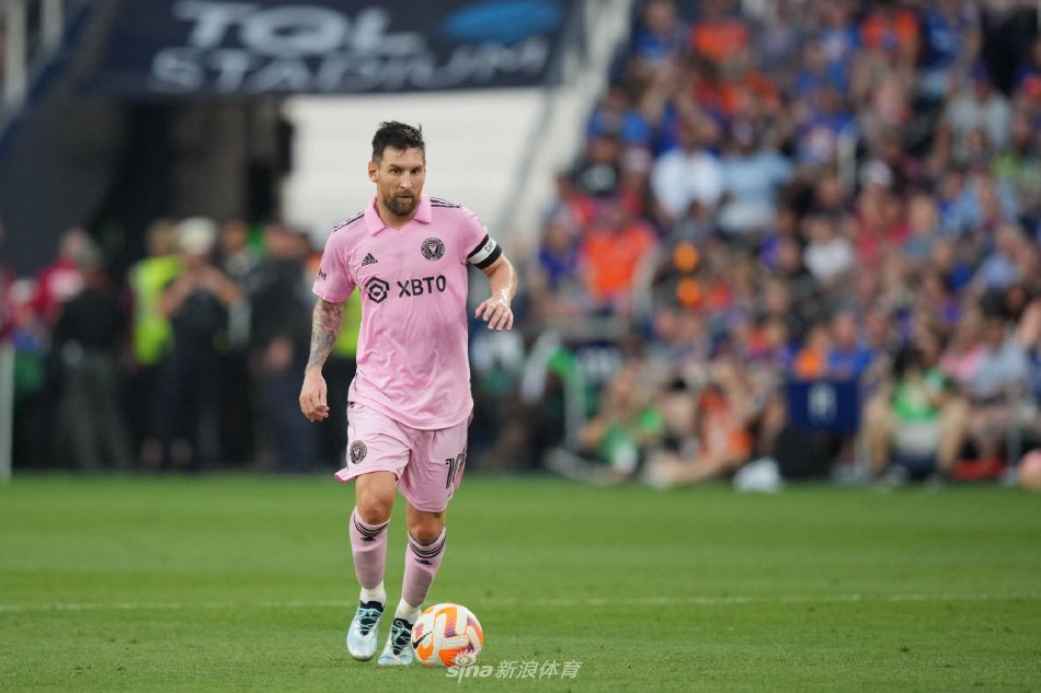 中表现出色 中表现出色